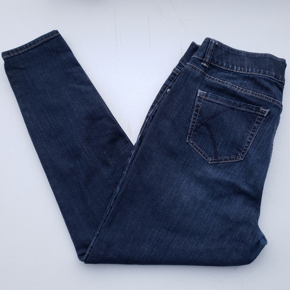 Lane Bryant High Waisted Smoothing Skinny Jeans Size 16R